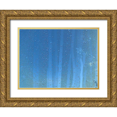 Rain Stripe III Gold Ornate Wood Framed Art Print with Double Matting by Grayscale