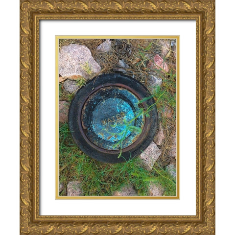 Water Cover V Gold Ornate Wood Framed Art Print with Double Matting by Grayscale