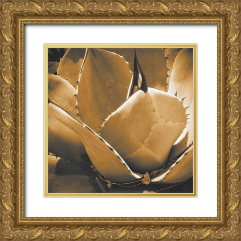 Mescal Agave: Sepia Gold Ornate Wood Framed Art Print with Double Matting by Tenoever, William