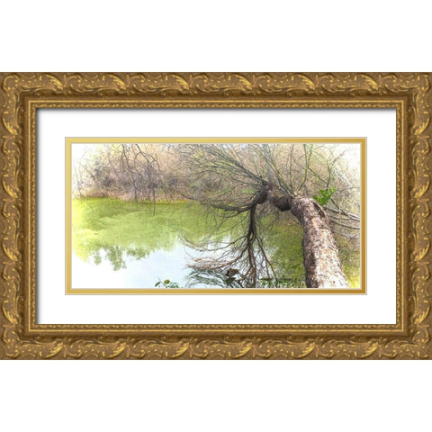 Pair of Mallards on Water Gold Ornate Wood Framed Art Print with Double Matting by Tenoever, William
