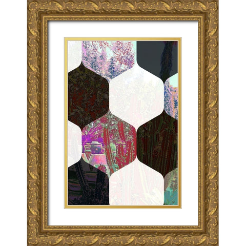 Hexaflora4 Gold Ornate Wood Framed Art Print with Double Matting by Tenoever, William