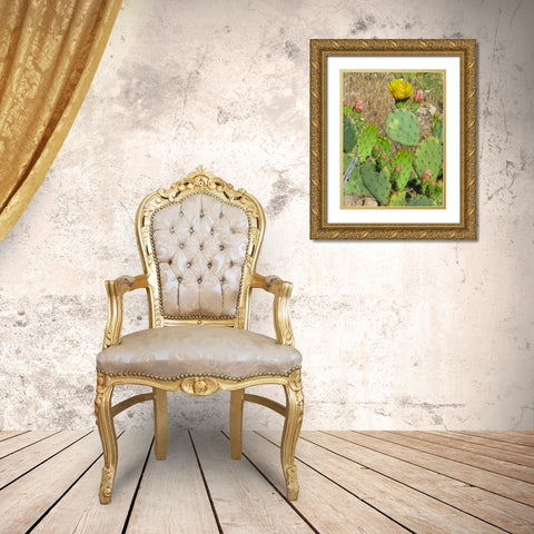 Prickly Pear II Gold Ornate Wood Framed Art Print with Double Matting by Popcorn