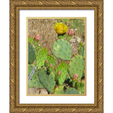 Prickly Pear II Gold Ornate Wood Framed Art Print with Double Matting by Popcorn