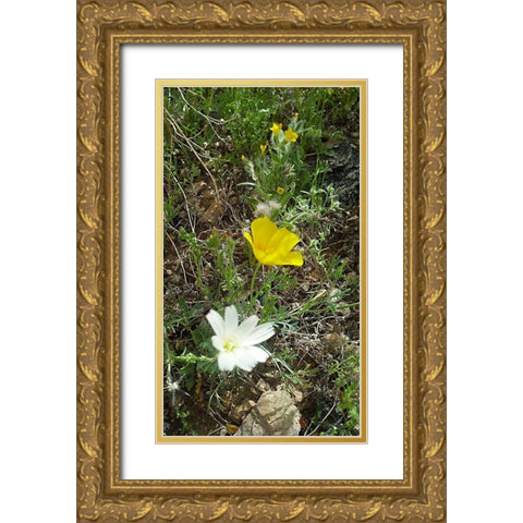 Wildflowers I Gold Ornate Wood Framed Art Print with Double Matting by Popcorn