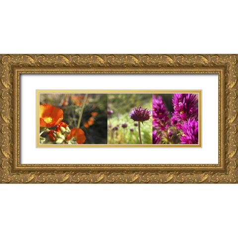 Wildflowers Collage II Gold Ornate Wood Framed Art Print with Double Matting by Popcorn