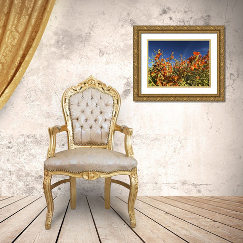 Wildflowers XXII Gold Ornate Wood Framed Art Print with Double Matting by Popcorn