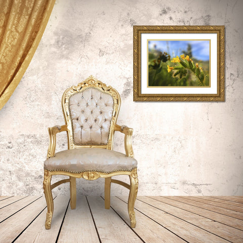 Wildflowers XXVI Gold Ornate Wood Framed Art Print with Double Matting by Popcorn
