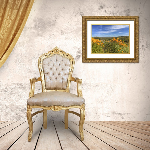 Wildflowers XXVIII Gold Ornate Wood Framed Art Print with Double Matting by Popcorn