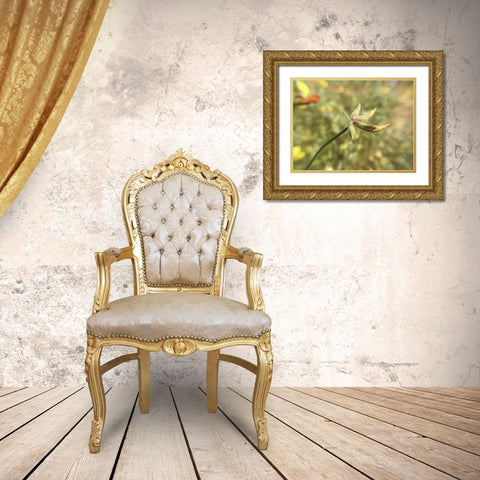 Wildflowers XXXI Gold Ornate Wood Framed Art Print with Double Matting by Popcorn