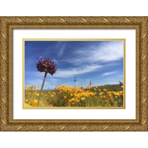 Wildflowers XXXIII Gold Ornate Wood Framed Art Print with Double Matting by Popcorn
