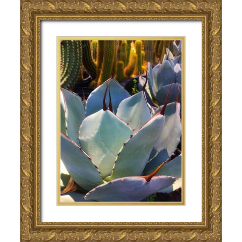 Mescal Agave C Gold Ornate Wood Framed Art Print with Double Matting by Tenoever, William
