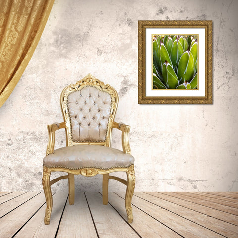 Agave Gold Ornate Wood Framed Art Print with Double Matting by Tenoever, William
