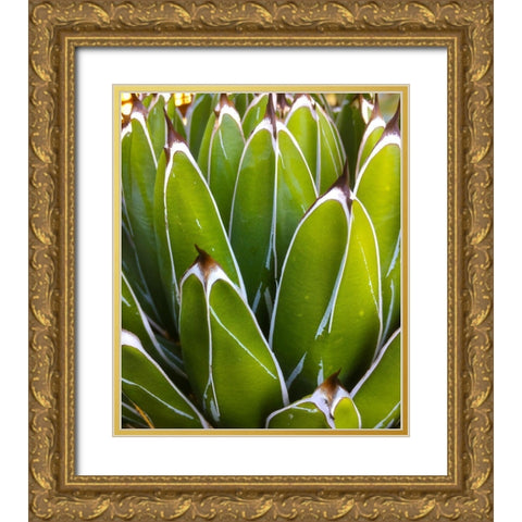 Agave Gold Ornate Wood Framed Art Print with Double Matting by Tenoever, William