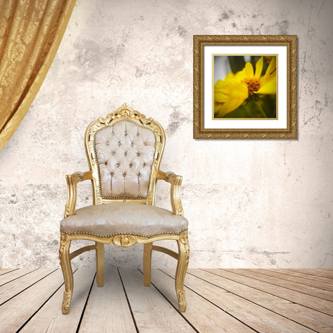Brittlebush Gold Ornate Wood Framed Art Print with Double Matting by Tenoever, William