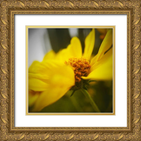 Brittlebush Gold Ornate Wood Framed Art Print with Double Matting by Tenoever, William