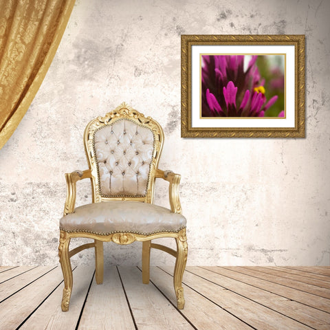 Owl Clover Gold Ornate Wood Framed Art Print with Double Matting by Tenoever, William