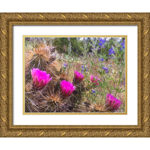 Hedgehog and Lupine Gold Ornate Wood Framed Art Print with Double Matting by Tenoever, William