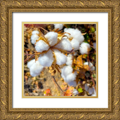 CottonFields4 Gold Ornate Wood Framed Art Print with Double Matting by Tenoever, William