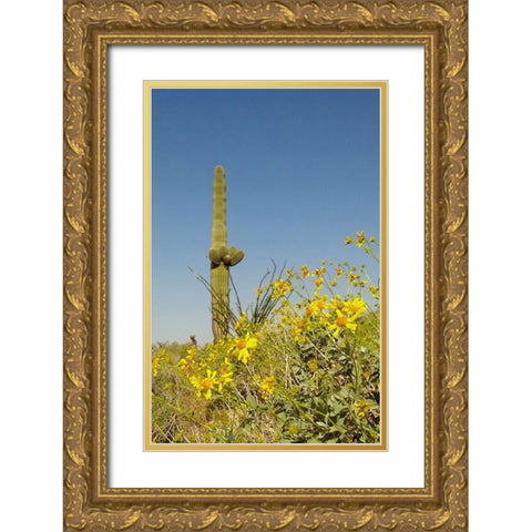 Desert Scape 3 Gold Ornate Wood Framed Art Print with Double Matting by Popcorn