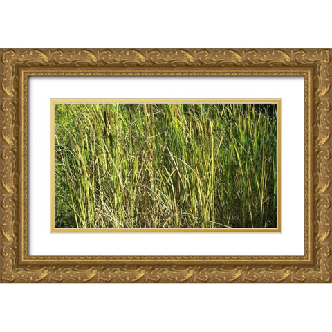 Roper Lake II: Grasses I Gold Ornate Wood Framed Art Print with Double Matting by Popcorn