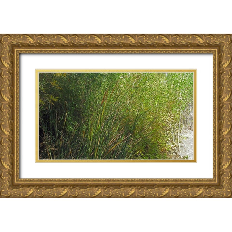 Roper Lake IV: Grasses III Gold Ornate Wood Framed Art Print with Double Matting by Popcorn