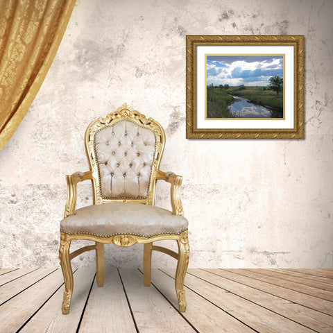Becker Lake Wildlife Preserve Gold Ornate Wood Framed Art Print with Double Matting by Popcorn