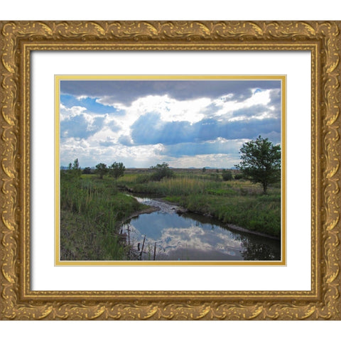 Becker Lake Wildlife Preserve Gold Ornate Wood Framed Art Print with Double Matting by Popcorn