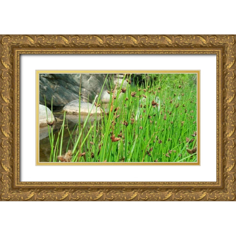 Agua Fria National Monument Gold Ornate Wood Framed Art Print with Double Matting by Popcorn