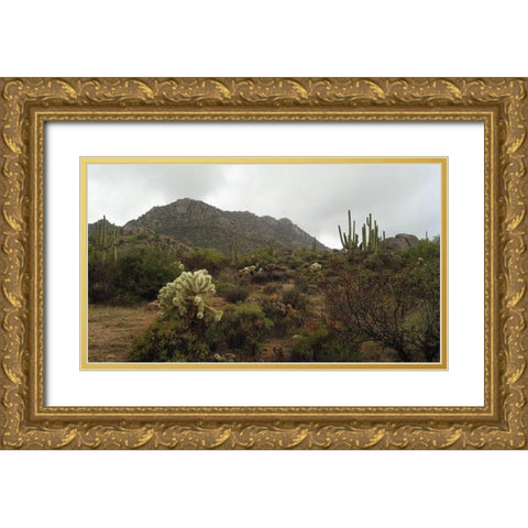 Granite Mountain I Gold Ornate Wood Framed Art Print with Double Matting by Popcorn