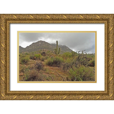 Granite Mountain II Gold Ornate Wood Framed Art Print with Double Matting by Popcorn