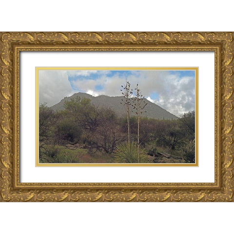 Granite Mountain III Gold Ornate Wood Framed Art Print with Double Matting by Popcorn