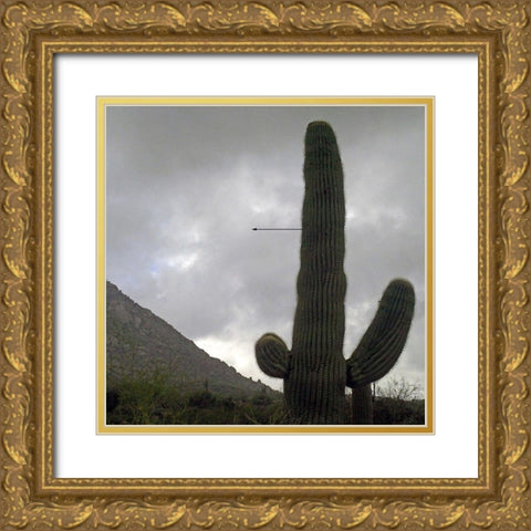 Saguaro Arrow Gold Ornate Wood Framed Art Print with Double Matting by Popcorn