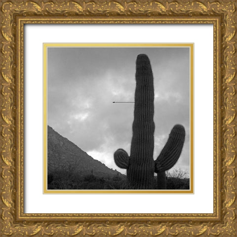 Saguaro Arrow BandW Gold Ornate Wood Framed Art Print with Double Matting by Popcorn