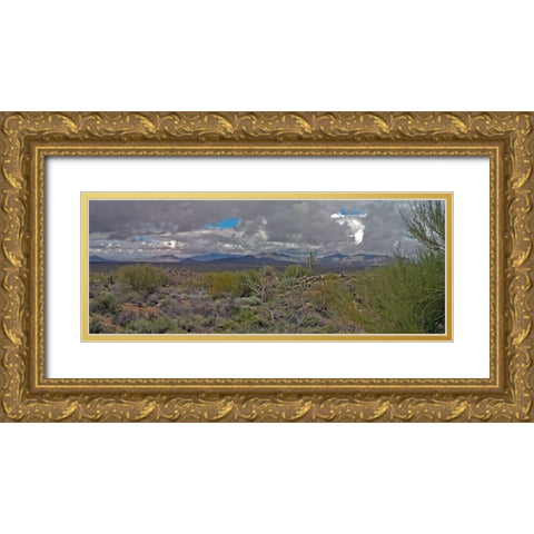 Desert Scape I Gold Ornate Wood Framed Art Print with Double Matting by Popcorn