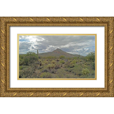 Brown’s Mountain Gold Ornate Wood Framed Art Print with Double Matting by Popcorn