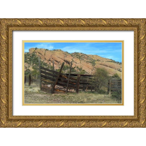 Hackberry Springs Gold Ornate Wood Framed Art Print with Double Matting by Popcorn