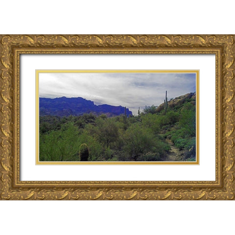 Superstition Mountain I Gold Ornate Wood Framed Art Print with Double Matting by Popcorn
