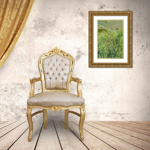 Kartchner Cavern Foothills Gold Ornate Wood Framed Art Print with Double Matting by Popcorn