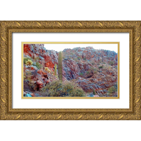 Desert Scape 2 Gold Ornate Wood Framed Art Print with Double Matting by Popcorn