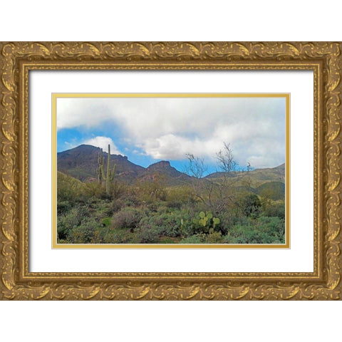 Elephant Mountain Gold Ornate Wood Framed Art Print with Double Matting by Popcorn