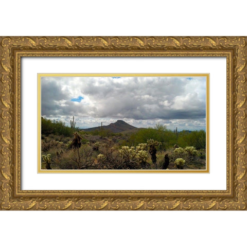 Brown’s Mountain Gold Ornate Wood Framed Art Print with Double Matting by Popcorn