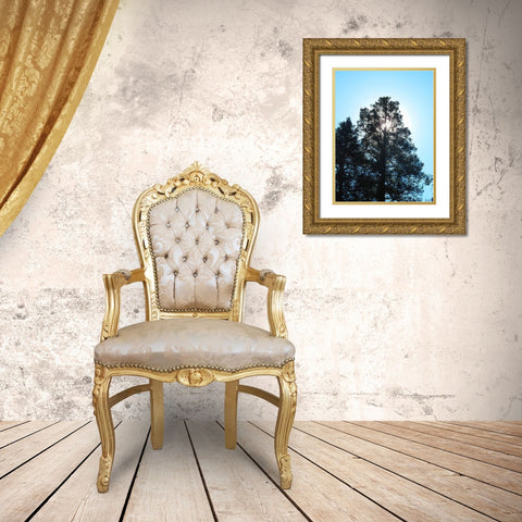 Tree 1 Gold Ornate Wood Framed Art Print with Double Matting by Popcorn