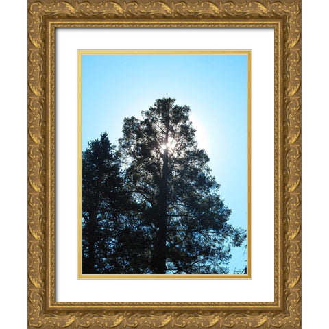 Tree 1 Gold Ornate Wood Framed Art Print with Double Matting by Popcorn