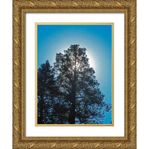 Tree 2 Gold Ornate Wood Framed Art Print with Double Matting by Popcorn