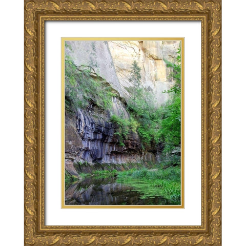 Oak Creek Canyon III Gold Ornate Wood Framed Art Print with Double Matting by Popcorn