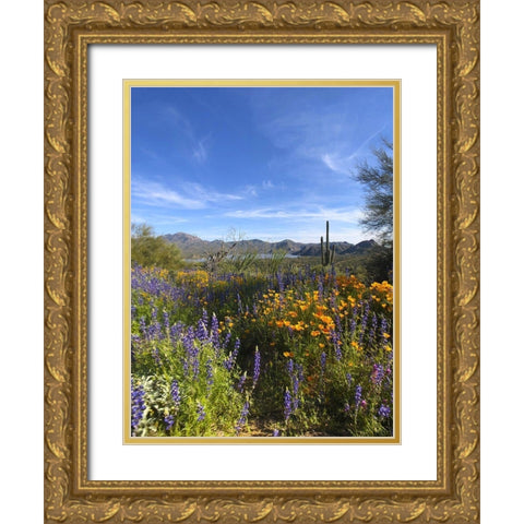 Wildflowers XXV Gold Ornate Wood Framed Art Print with Double Matting by Popcorn