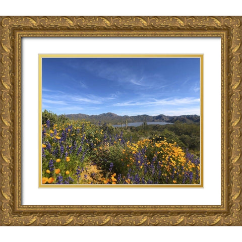 Wildflowers XXV Gold Ornate Wood Framed Art Print with Double Matting by Popcorn