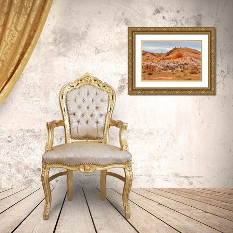 ValleyOfFire:BigHornSheep2 Gold Ornate Wood Framed Art Print with Double Matting by Tenoever, William