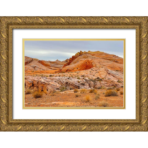 ValleyOfFire:BigHornSheep2 Gold Ornate Wood Framed Art Print with Double Matting by Tenoever, William