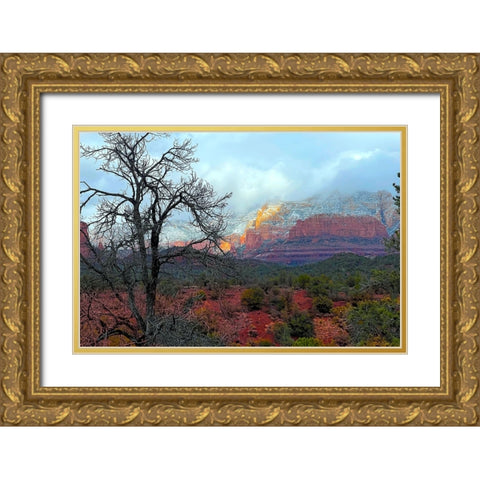 SedonaInWinter1 Gold Ornate Wood Framed Art Print with Double Matting by Tenoever, William